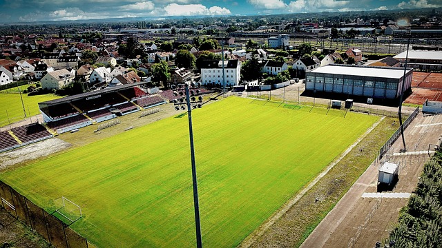 教练和国家 教练和国家