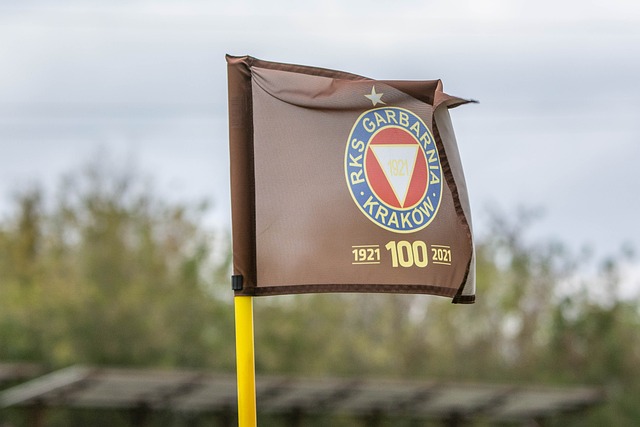 但这也是其 但这也是其