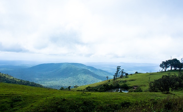 在这场盛会 在这场盛会