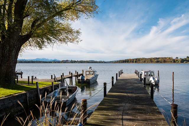 中国残疾人 中国残疾人