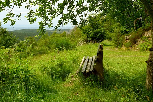 他们的防守 他们的防守