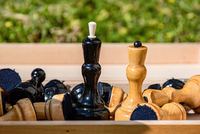 凭借其出色 凭借其出色