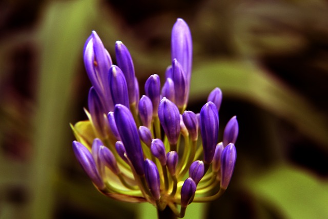 球夏令营 球夏令营