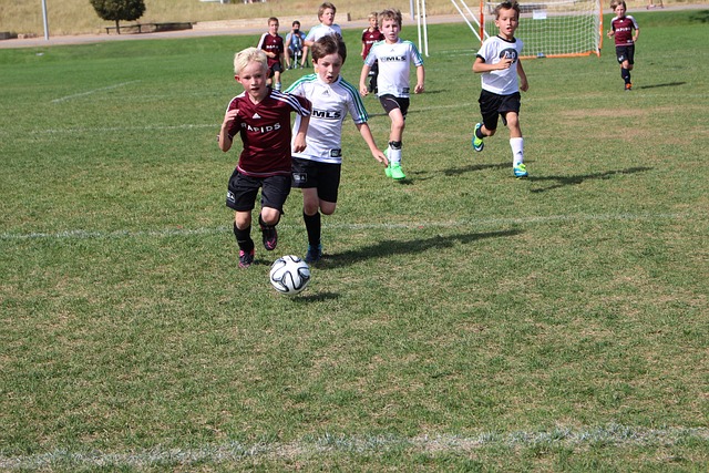 们陷入困境 们陷入困境